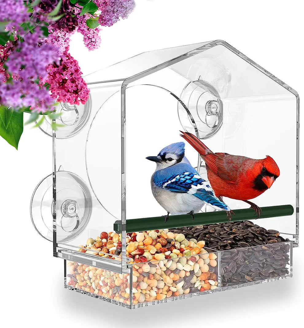 Apartment-Friendly Window Bird Feeder