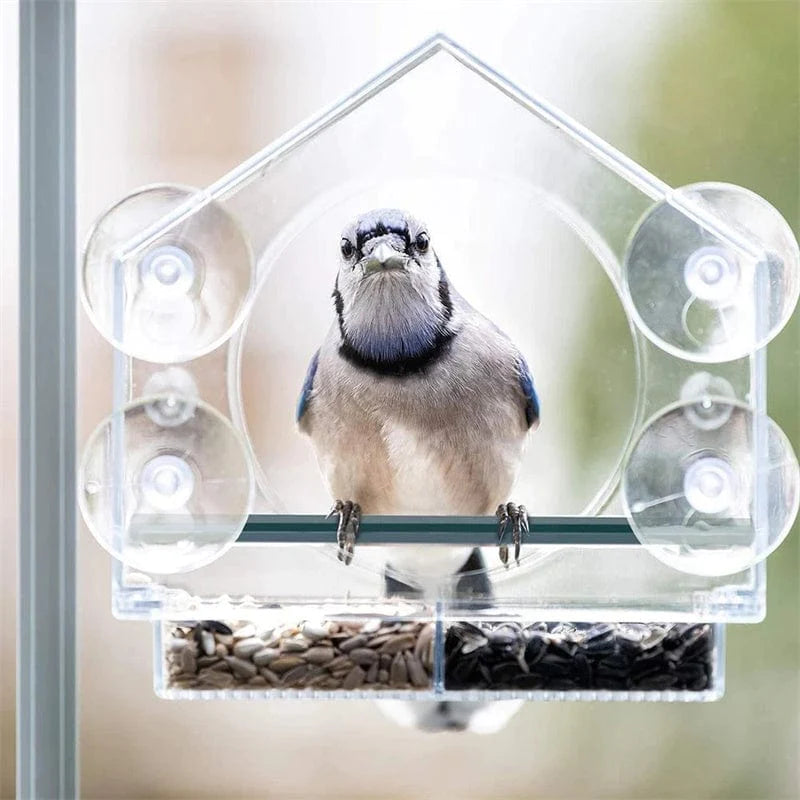 Apartment-Friendly Window Bird Feeder