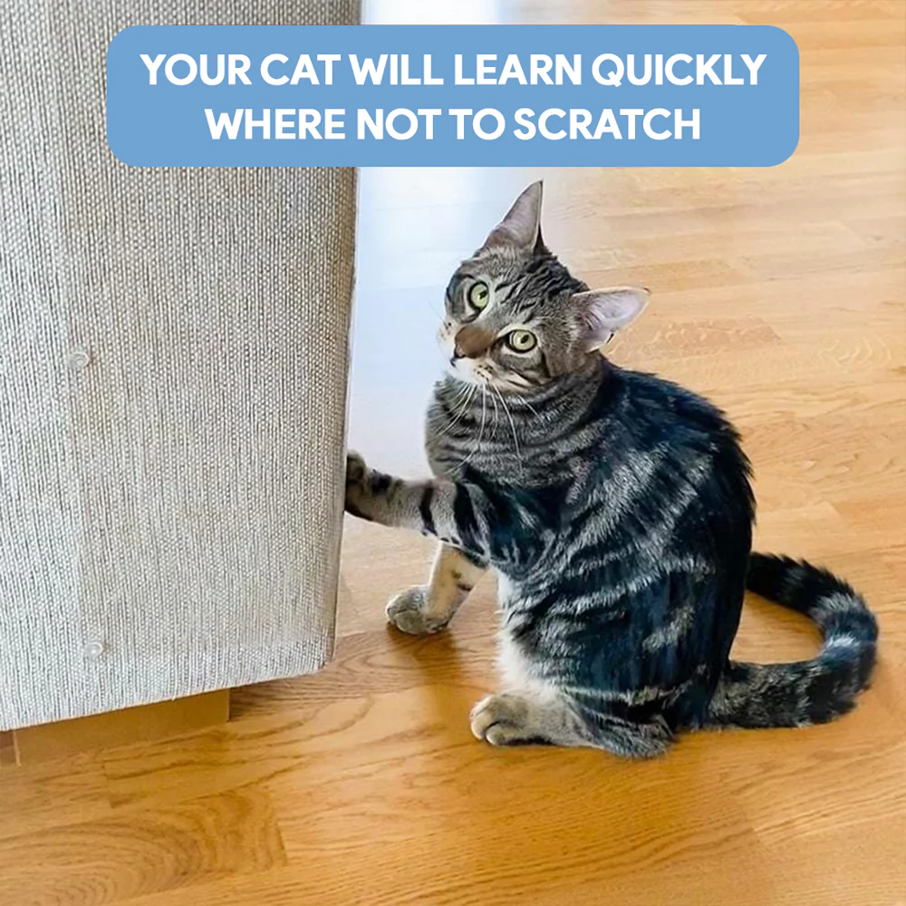 Anti Scratch Furniture Protector - 12in x 30m